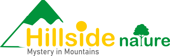 Hillside Nature Tours 